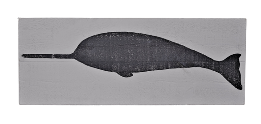 16x40 Narwhal #6 White Board/Marina Grey Image