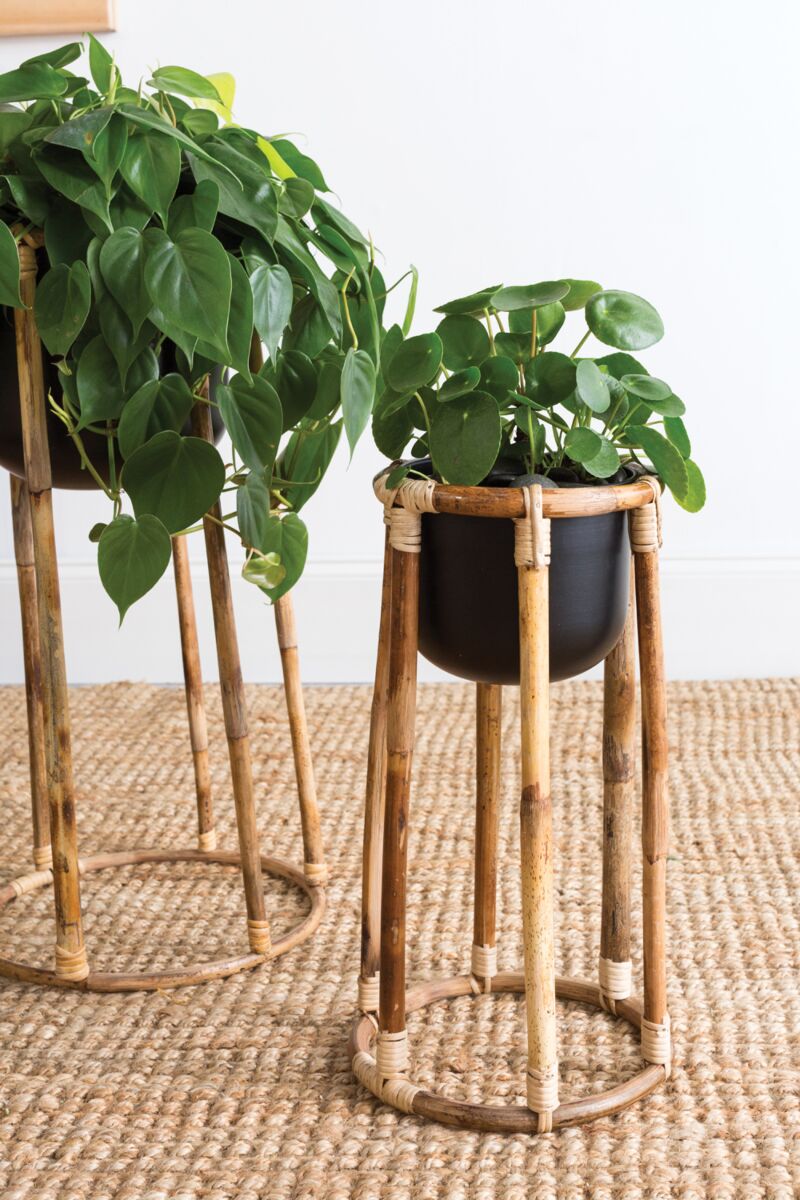 Boca Collection Plant Stand - Online Only