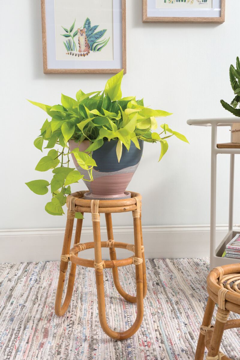 Barefoot Plant Stand - Online Only