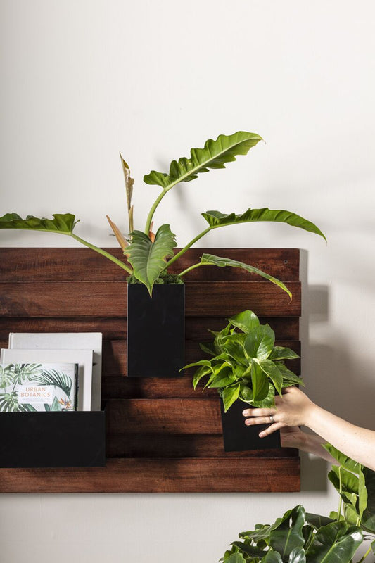 Barsian Wall Planter - Online Only