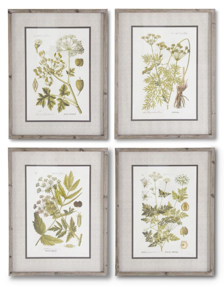 27.5 INCH FIR WOOD FRAMED BOTANICAL PRINT II