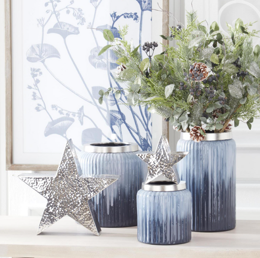 27.75 Inch Wood Framed Blue & White Botanical Print IV