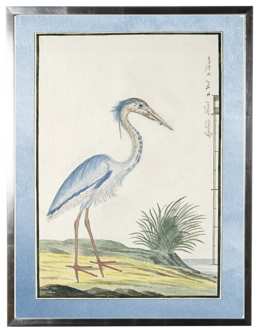 Waterbird with Pale Blue Border A - Online Only