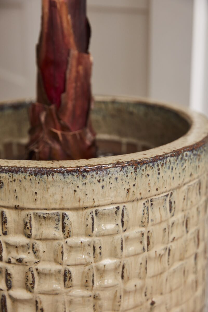 Chimera Pot - Online Only