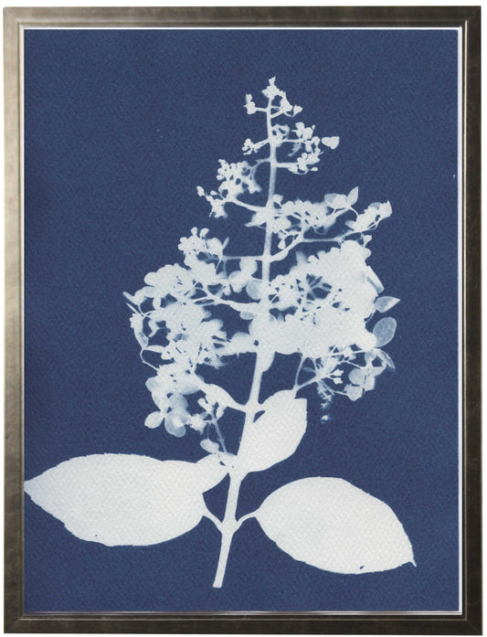 Indigo Hydrangea - Online Only