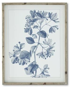 27.75 Inch Wood Framed Blue & White Botanical Print II