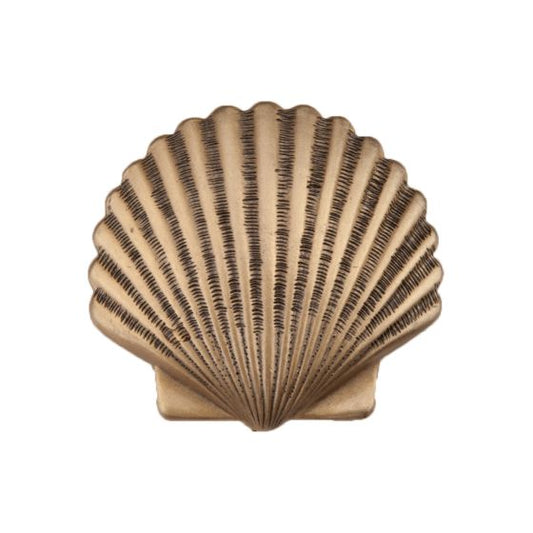 Set of 4 Small Scallop Knobs