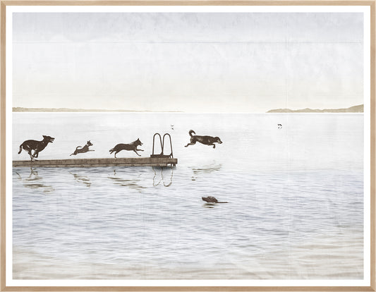 Dog Days at the Cottage