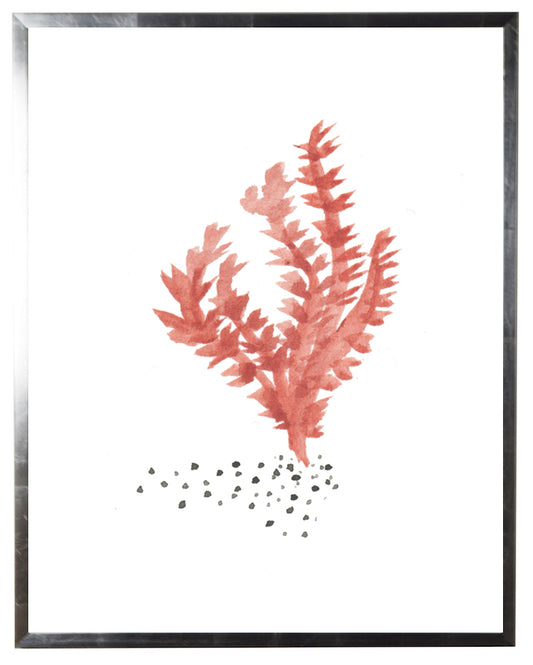 Orange/Brown Coral - Online Only