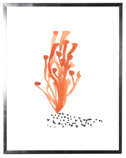 Orange Coral - Online Only