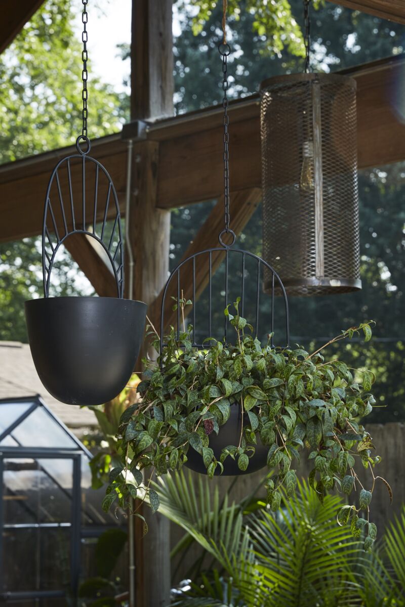 Hestia Hanging Pot - Online Only