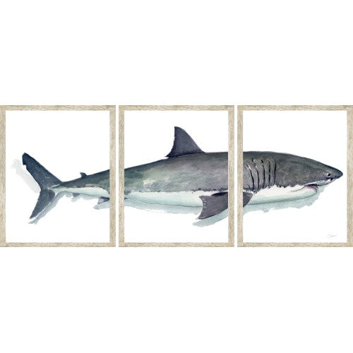 GREAT WHITE TRIPTYCH 26 X 32 PER PANEL DIS-SILVER