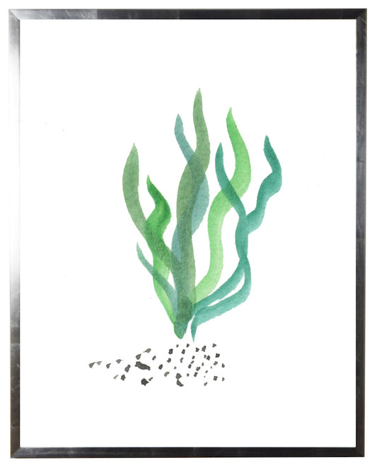 Green Coral - Online Only