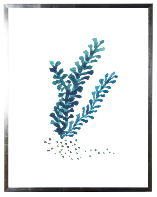 Dark-Blue Coral - Online Only