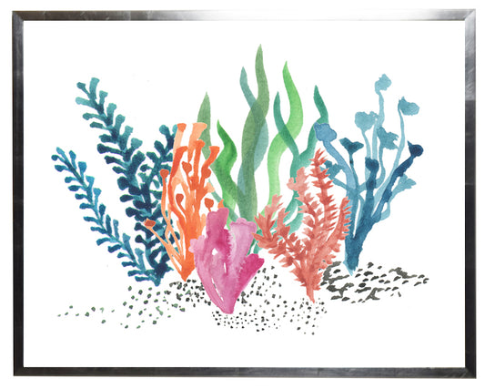 Multicolored Coral I - Online Only