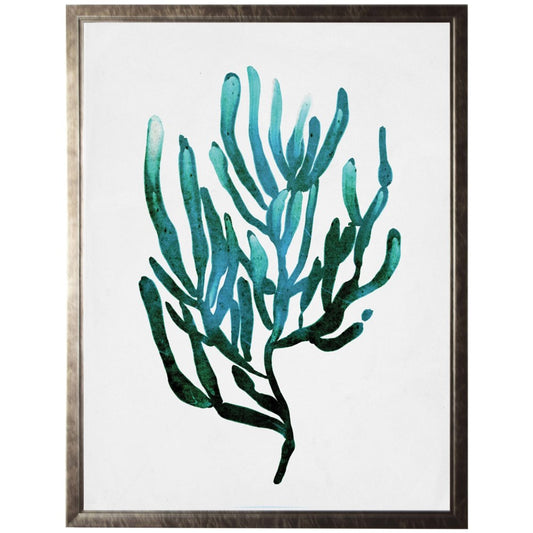 Coral D - Online Only