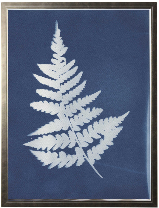 Indigo Fern  - Online Only