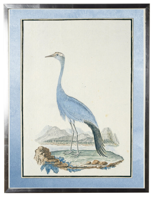 Waterbird with Pale Blue Border B - Online Only