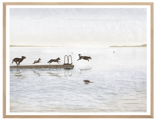 Dog Days at the Cottage