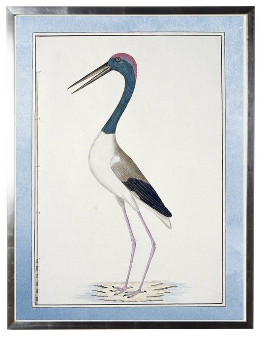 Waterbird with Pale Blue Border E - Online Only