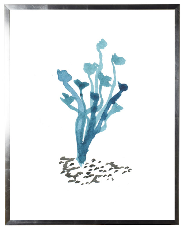 Light-Blue Coral - Online Only