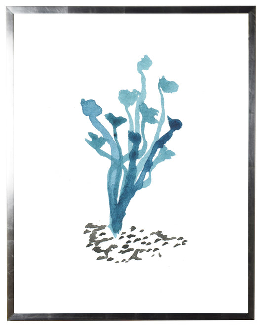 Light-Blue Coral - Online Only