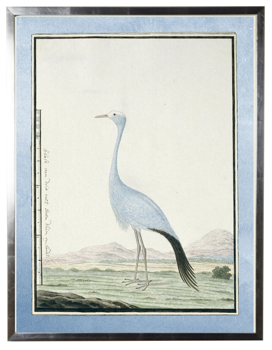 Waterbird with Pale Blue Border D - Online Only