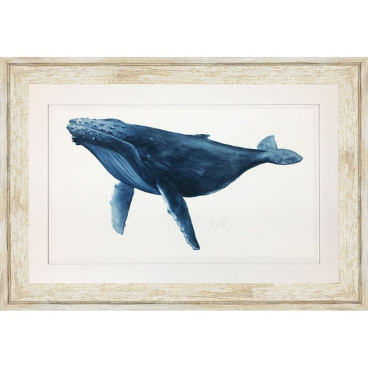 42" x 28" - BLUE WHALE 1 3" DIS-SILVER ***