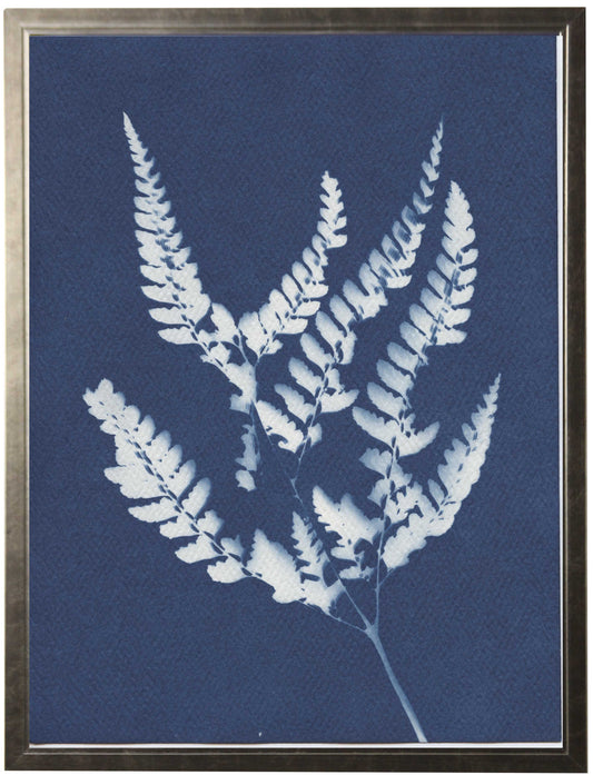Indigo Fern 1 - Online Only