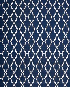 Blue White Outdoor Rug