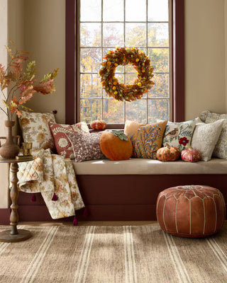 Fall Favorites
