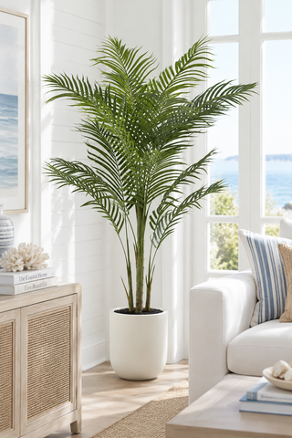 6 Foot Palm Tree in White Pot w/Faux Dirt
