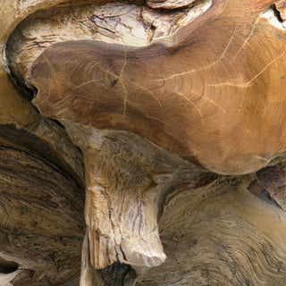 Sola Indoor/Outdoor Side Table
