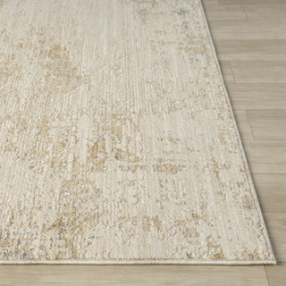 Vida Transitional Abstract Indoor Area Rug
