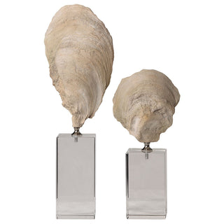 Oyster Shell Sculptures   Set of 2
