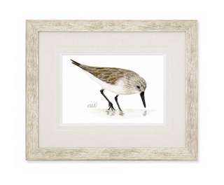 Sandpiper I Print
