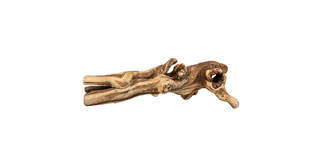 Tree Branch
