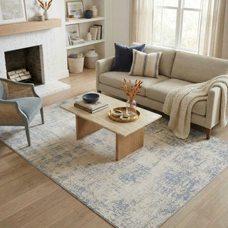 Vida Transitional Abstract Indoor Area Rug
