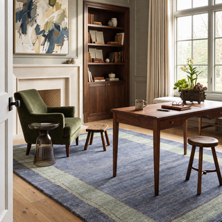 Ramila Modern Bordered Rug
