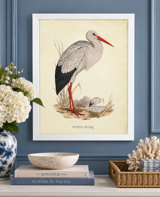 White Stork on Brown Land   Online Only
