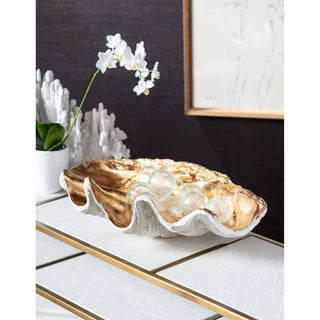Clam Shell Bowl
