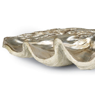 Clam Shell Bowl
