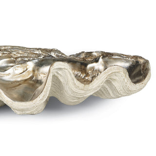 Clam Shell Bowl
