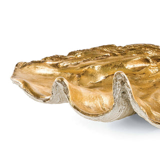 Clam Shell Bowl
