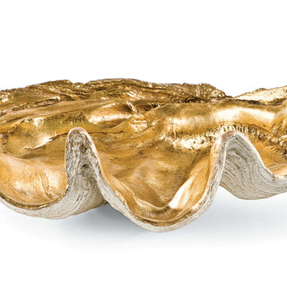 Clam Shell Bowl
