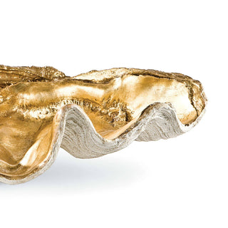 Clam Shell Bowl
