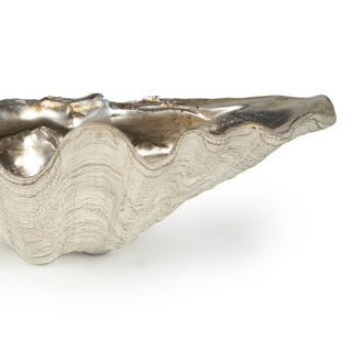Clam Shell Bowl
