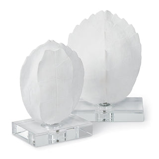 Turtle Shell on Crystal
