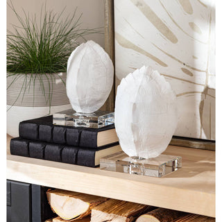 Turtle Shell on Crystal
