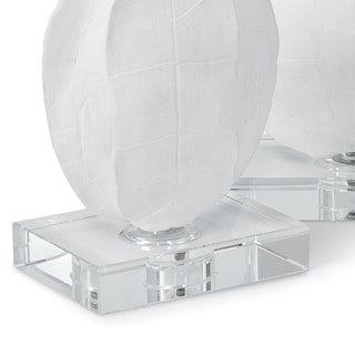 Turtle Shell on Crystal
